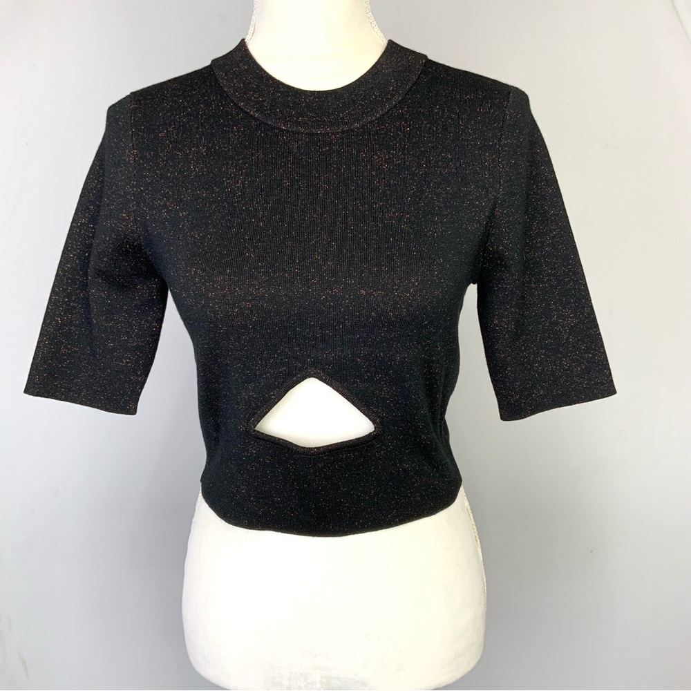 Victor Glemaud Medium Black Knit Metallic Cashmere Wool Silk Cut Out Crop Top